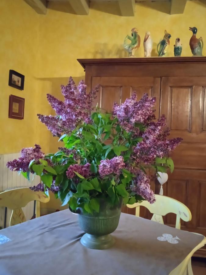 Planioles Chambre Dans Prieure De Caractere XVIII Siecle מראה חיצוני תמונה